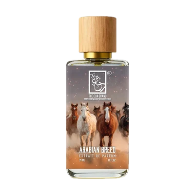 Arabian Breed by The Dua Brand