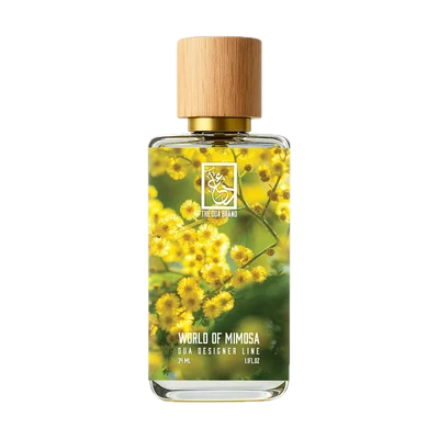 World Of Mimosa by The Dua Brand